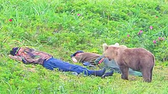 一頭棕熊，遇到兩個在野外睡覺的傢伙，結局充滿了「俄羅斯風格」！