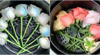 保存短暫的浪漫！神人把「繽紛鮮花放進氣炸鍋」低溫烘烤　出爐變成「質感霧色乾燥花」美到不行❤️