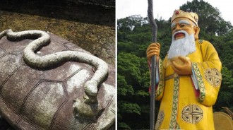 如果夢到蛇「請一定要做這件事」！　民俗老師揭秘：這樣才會發大財