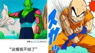 《龍珠》惡搞：當龍珠圖片配上不正經的文字，還讓我怎麼直視！