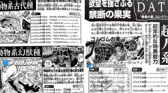 海賊王：官方暗示喬伊波伊、太陽神尼卡和空島有關，惡魔果實的特點和覺醒特性公開
