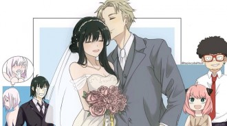 如果間諜過家家的結局選擇，相愛相殺與結婚兩個結局哪個更容易接受