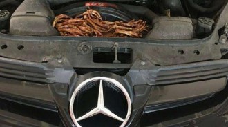 剛買的名車無故拋錨，送去修車廠查看...修車師傅打開引擎蓋無語了...