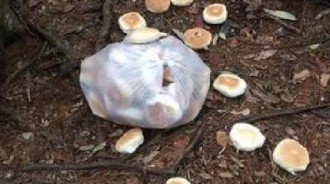 登山若看到這些麵包千萬別撿！