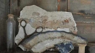 整理家裡的倉庫，在角落發現「不明生物」...原來是三十年前養的寵物，竟然還活著！！