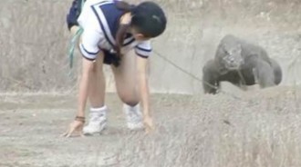 日本女子，作死勾引科莫多巨蜥追自己，鏡頭拍下驚險過程！
