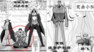盜版海賊王來襲：頂上戰爭處決赤犬，草帽魯夫變軍帽魯夫，網友：比尾田畫的精彩