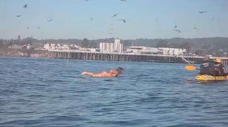在海上悠閒划水，沒想到一頭「巨獸」打破海面上的平靜！