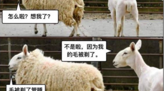 原因就是哪麼簡單！