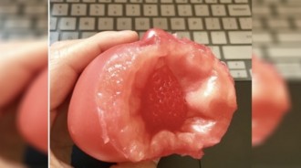 吃番茄送草莓？網友說出「驚人真相」...