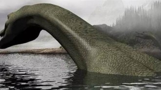 雅女湖5次出現水怪，背像鱷魚身似蟒蛇，真相：上百條鯰魚群