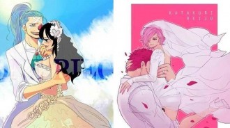海迷畫出「海賊王」人物婚紗照，卡二和香吉士姐姐結婚，明哥現場搶婚，唯有魯夫讓人笑噴