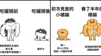 貓奴全點頭！超精闢「畫出家貓爆笑日常」飼主超有感　拍屁屁「順從型VS傲嬌型」貓派人一秒看懂