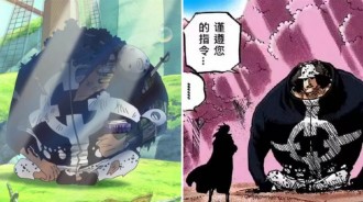 海賊王1058話：暴君熊的遭遇讓人淚目，僅餘一具軀體，薩博白救了