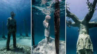 塞普勒斯阿依納帕水下雕塑博物館開放，探訪全球首個「水下森林」