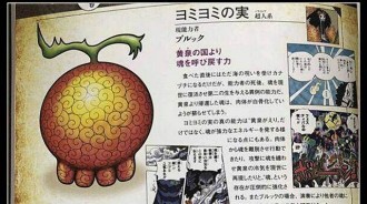 海賊王：黃泉果實不簡單，形狀透露出生命數量，布魯克還有三條命