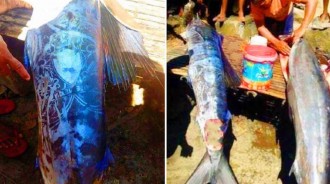太神奇！菲律賓漁民竟捕獲野生「紋身魚」，圖案清晰可見，網：社會我魚哥，人狠話不多！