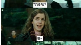 哈利波特竟然把聰明的妙麗騙到手了，到底是怎麼做到的？！