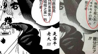 海賊王：出BUG了，尾田一個失誤，導致整個惡魔果實系統失控了！