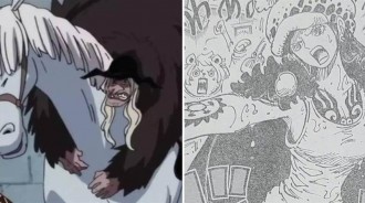 海賊王：毒Q把羅變成女人，實錘特拉男沒有霸王色！
