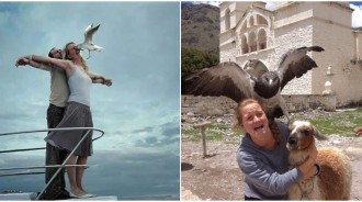 老鷹也來湊熱鬧！15張「失敗旅遊紀念照」意外瞬間太突然　小男孩踮腳「伸手餵袋鼠」下秒全場笑瘋