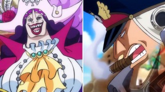 海賊王：黑團惡魔果實詳解，范奧卡是全團的「保姆」，惡政王是幻獸種！
