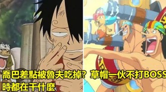 喬巴差點被魯夫吃掉？草帽一夥不打BOSS時都在干什麼