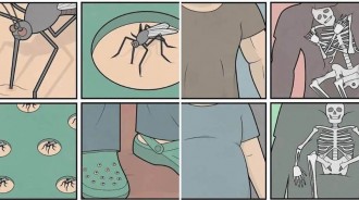 ​20組荒謬的諷刺漫畫，帶給你看世界的新視角，每個人都有共鳴