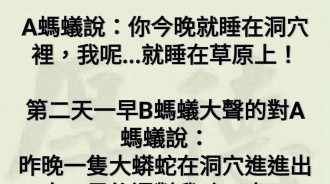 螞蟻奇遇記