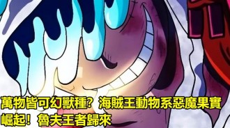 萬物皆可幻獸種？海賊王動物系惡魔果實崛起！魯夫王者歸來