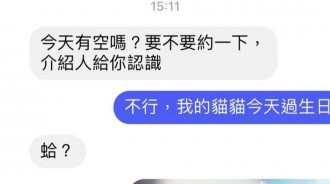 貓老大的生日最重要