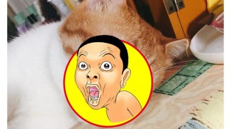 老媽緊張打電話來說「咪咪好像Ｇ掉了」，知道真相後大笑！