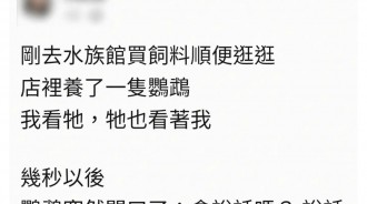 被鸚鵡嗆爆啊
