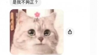 原來我在你心中是這種地位