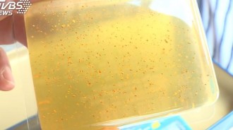家長霧煞煞！兒子台語課本「芳雪文」到底是什麼　內行人曝正解「台語高手也看不懂」：以為是人名