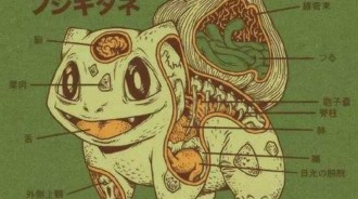 《寶可夢》：神奇寶貝內部結構圖，原來傑尼龜的水槍是從這裡噴出來的