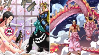 海賊王腦洞同人：成年版桃之助八塊腹肌，索隆大戰燼，羅賓放大招挪不開視線~
