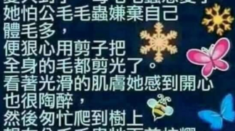 跟我想的不一樣啊..嗚嗚