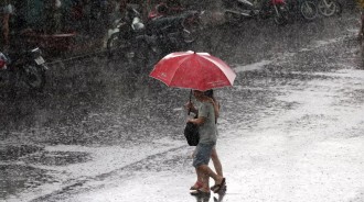 下雨有味道？　研究證明：「嗅覺靈敏」就能感應出即將降雨