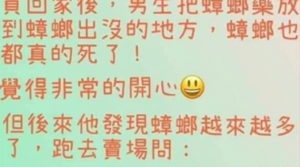 蟑螂反而更多了