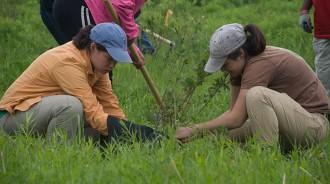 畢業前先種10棵樹！菲律賓修法敲定　一世代將多出「5億棵的森林」