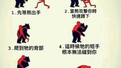 面對現實