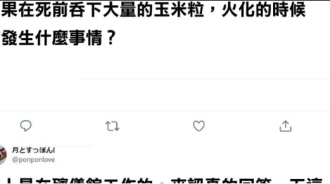 冥界實現爆米花自由