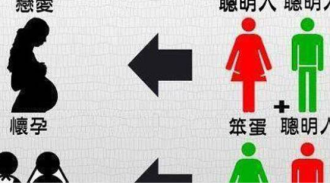 笨蛋和聰明人的各個組合