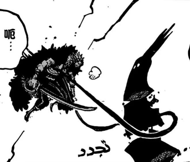 海賊王1165話,伊姆果然是大長腿美女,神騎團全滅,洛克斯戰死