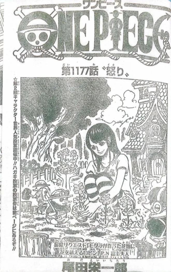 海賊王1177全圖漫畫：滅世之戰！伊姆是個膽小鬼，喬巴史詩級加強